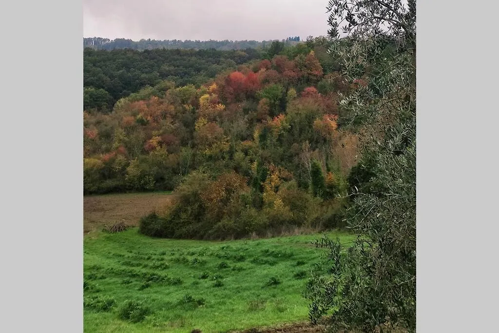 Casa Bini Villa San Miniato