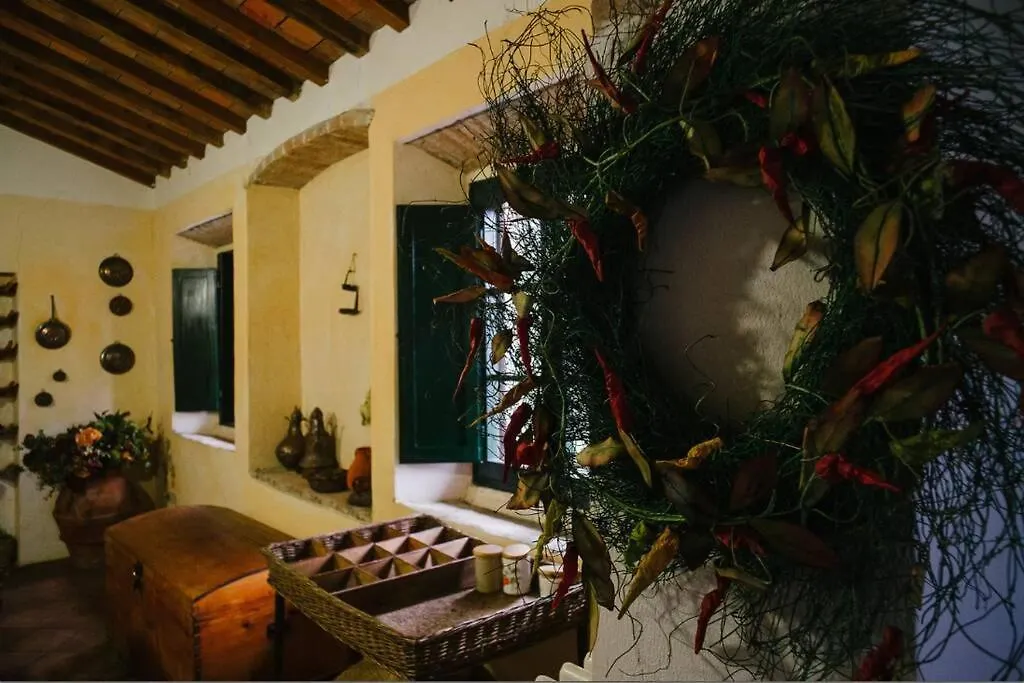 Casa Bini Villa San Miniato Italia